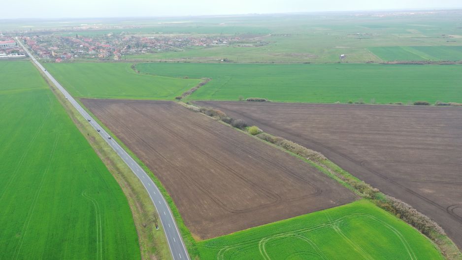 Teren industrial Dudestii Noi - Poză 7