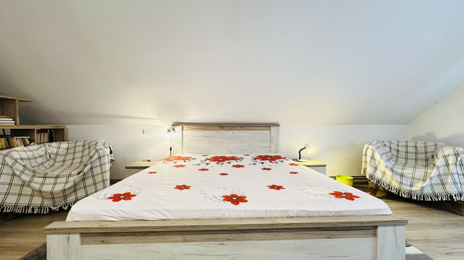 Apartament spatios cu 2 camere, in Vila apartamentata - Take Ionescu - Poză 9