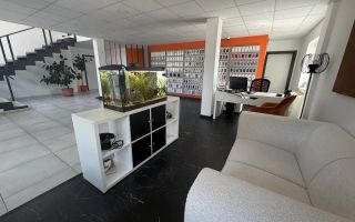 Hala P+1 cu birouri, depozit si teren 2.641 mp de vanzare Timisoara - Poză 3