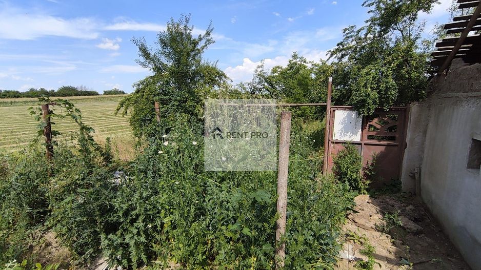 Teren de 11.000 mp cu casă și teren agricol | La 40 km de București | - Poză 12