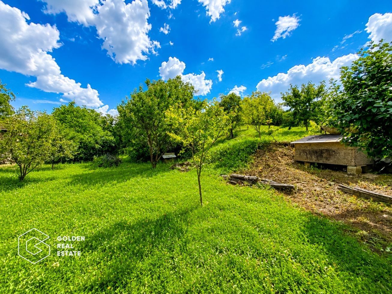 Casa P+M, teren 1440 mp, oras Lipova - Poză 3