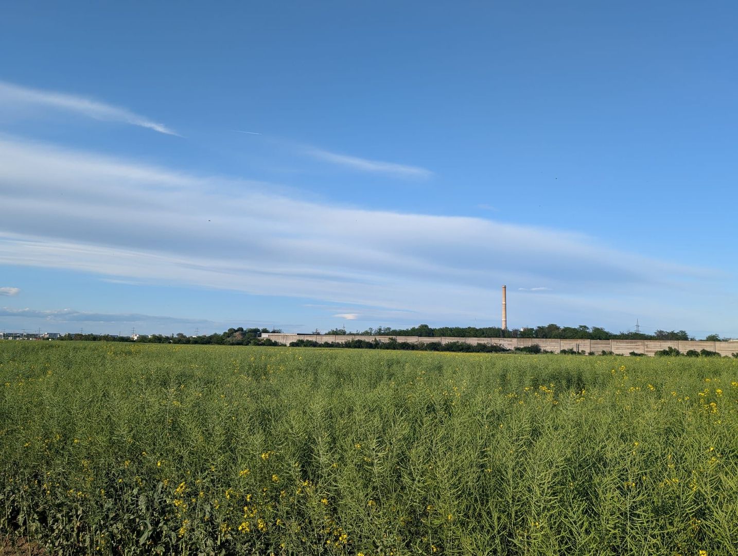 Teren de vanzare Domnești - Str. Narciselor - 20312mp - Poză 4