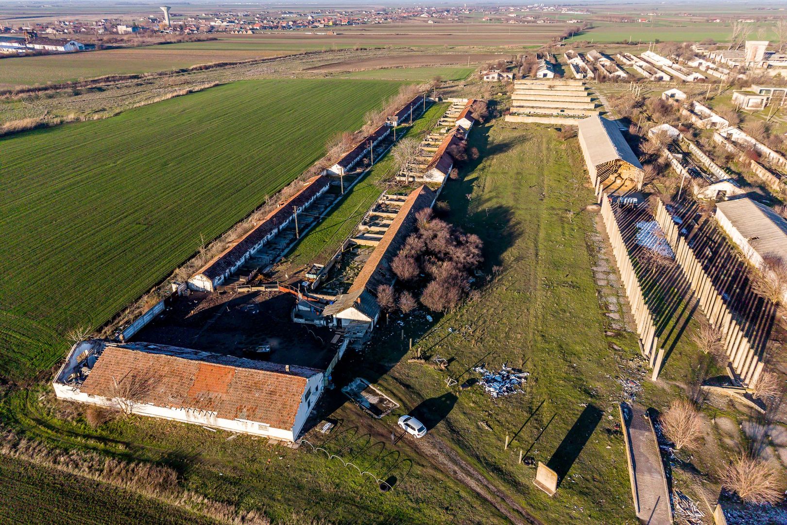 Teren 1.15 HA lângă Autostrada – Nădlac | clădiri+utilități - Poză 5
