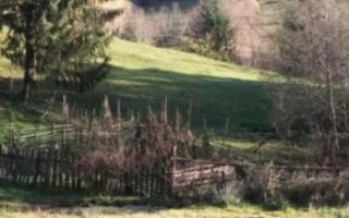 TEREN INTRAVILAN 4195 MP, LERESTI, ARGES - Poză 1