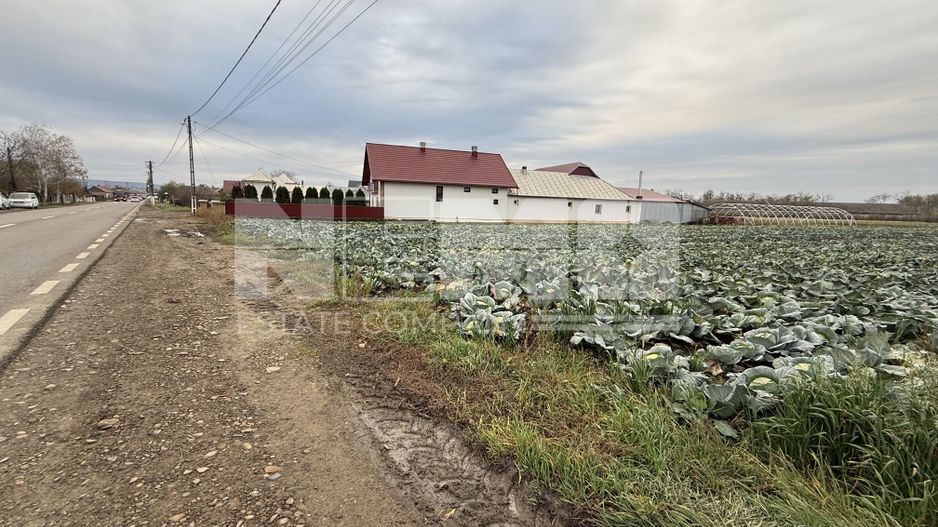 Teren 9.000 mp | Milișăuți | Intravilan | Front 38 m | 149.000 € - Poză 4