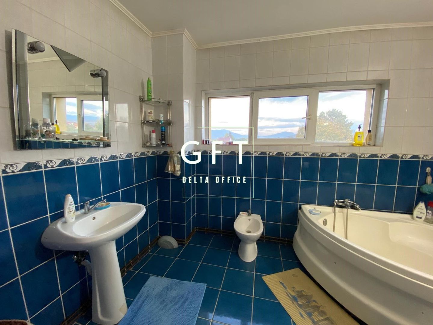 Casa 5 camere 230 mp-terasa-teren 1500 mp-garaj-atelier-Livezile - Poză 6