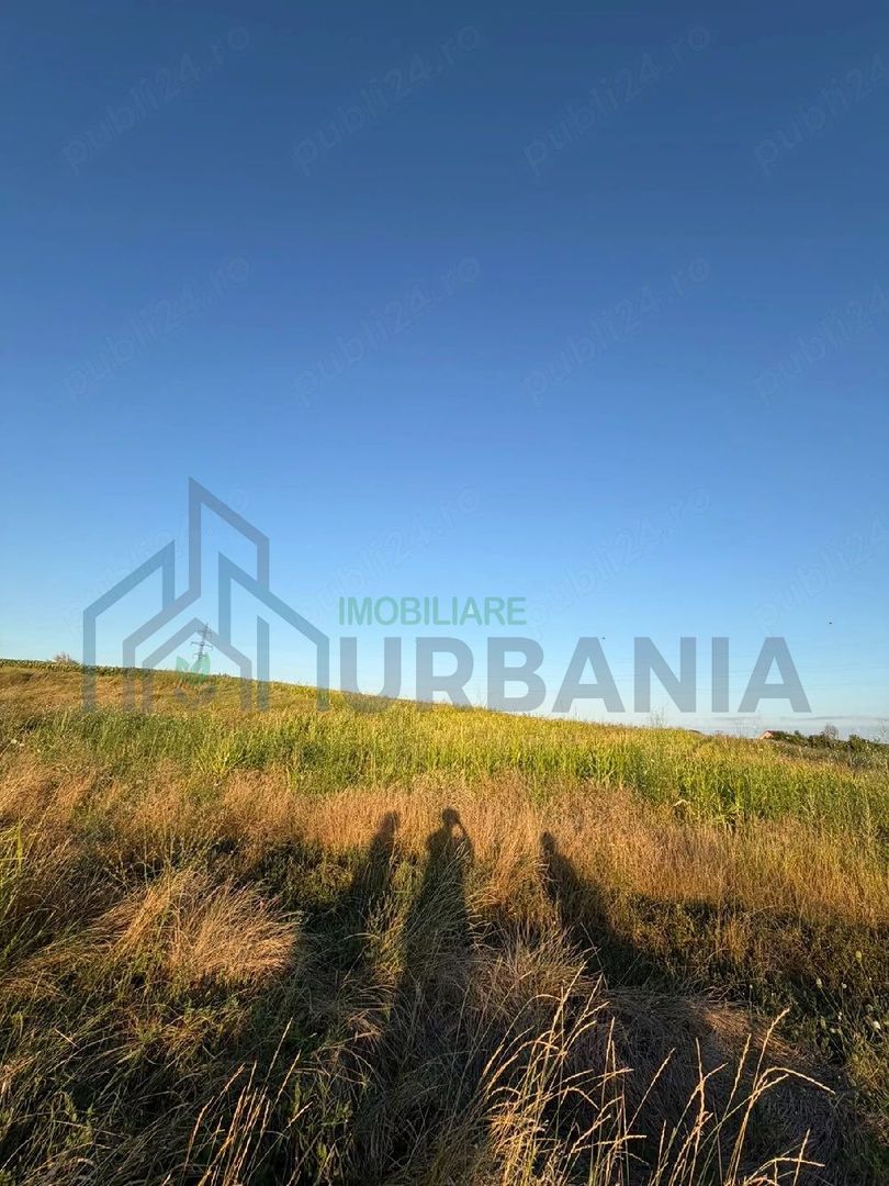 Teren intravilan 900 mp în Dancu, zona Lacul Chirița, cu drum de acces inclus - Poză 3