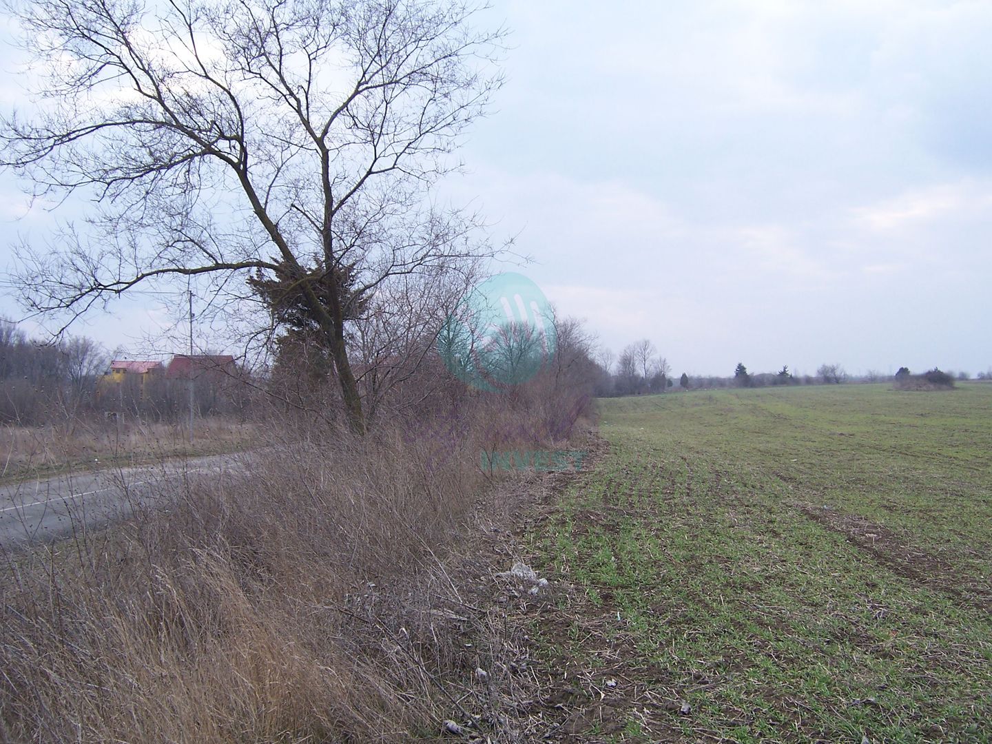 Teren constructii intravilan de 1000 mp, Venus - Poză 2