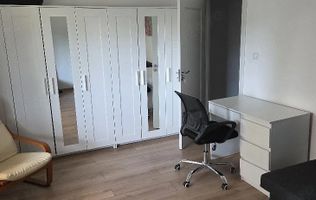 1 camera| renovat complet| centrala proprie| ideal pentru o persoana|
