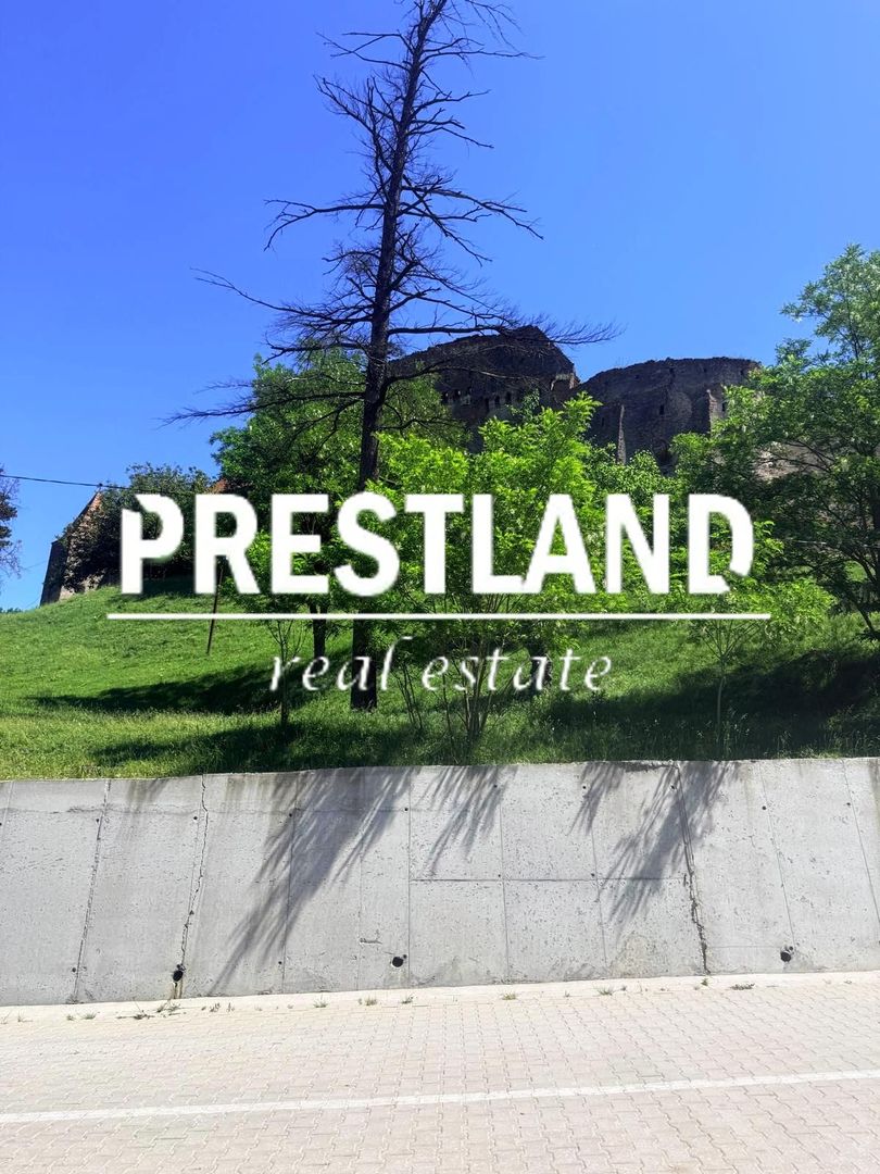 Casa modesta ,situată in Slimnic - Poză 9
