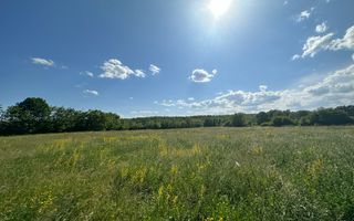 Teren Vanzare 11.000 MP Ghirdoveni | COMISION 0% - Poză 8