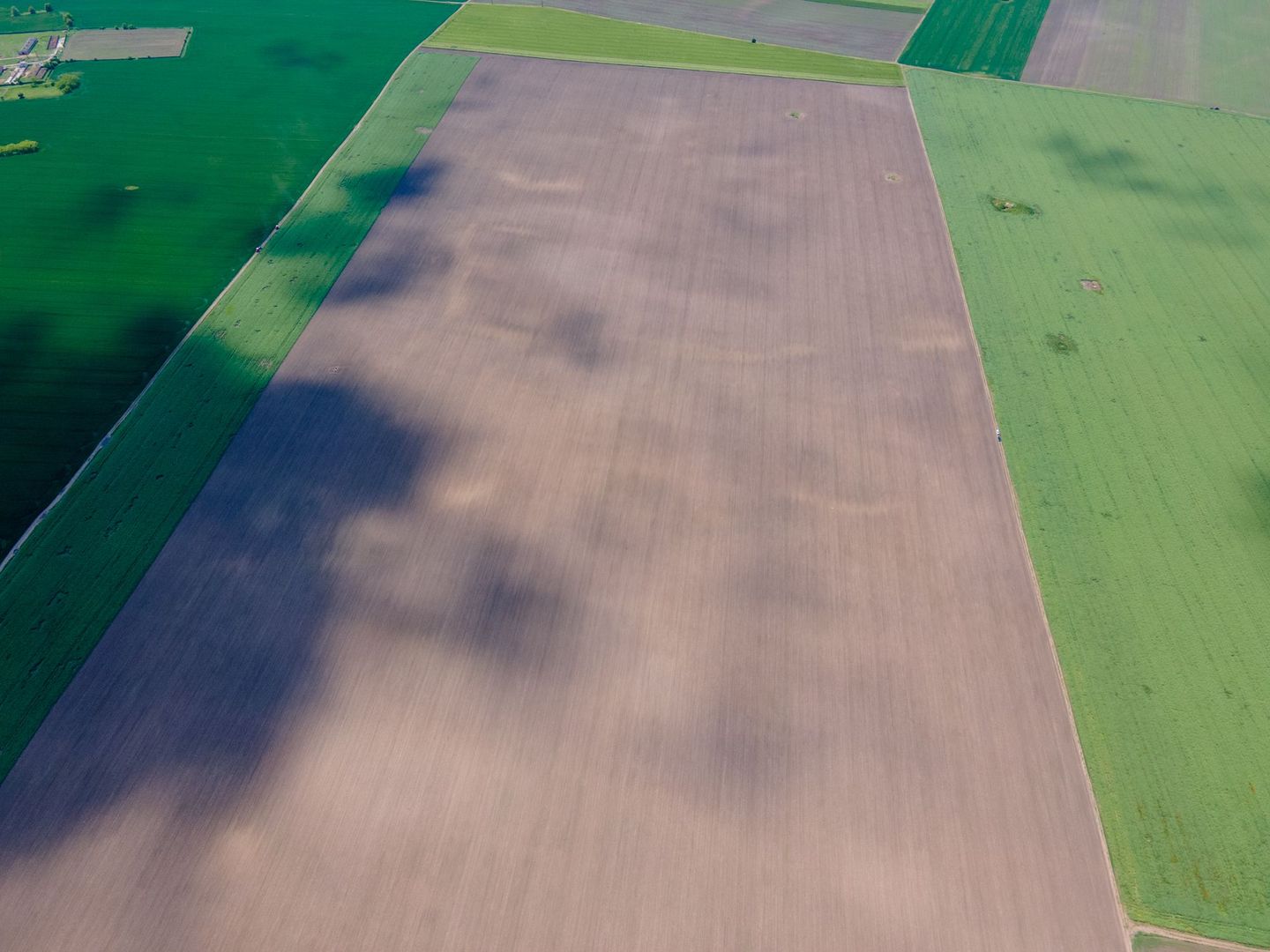 Teren de 5Ha în Satchinez. - Poză 7