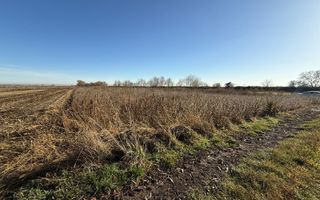 TEREN EXTRAVILAN | 35 ARI | HORODNIC DE JOS | - Poză 5