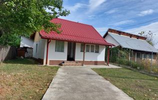 Casa de Vacanta | Comuna Ocnita, Dambovita | 80 mp | Complet Renovata