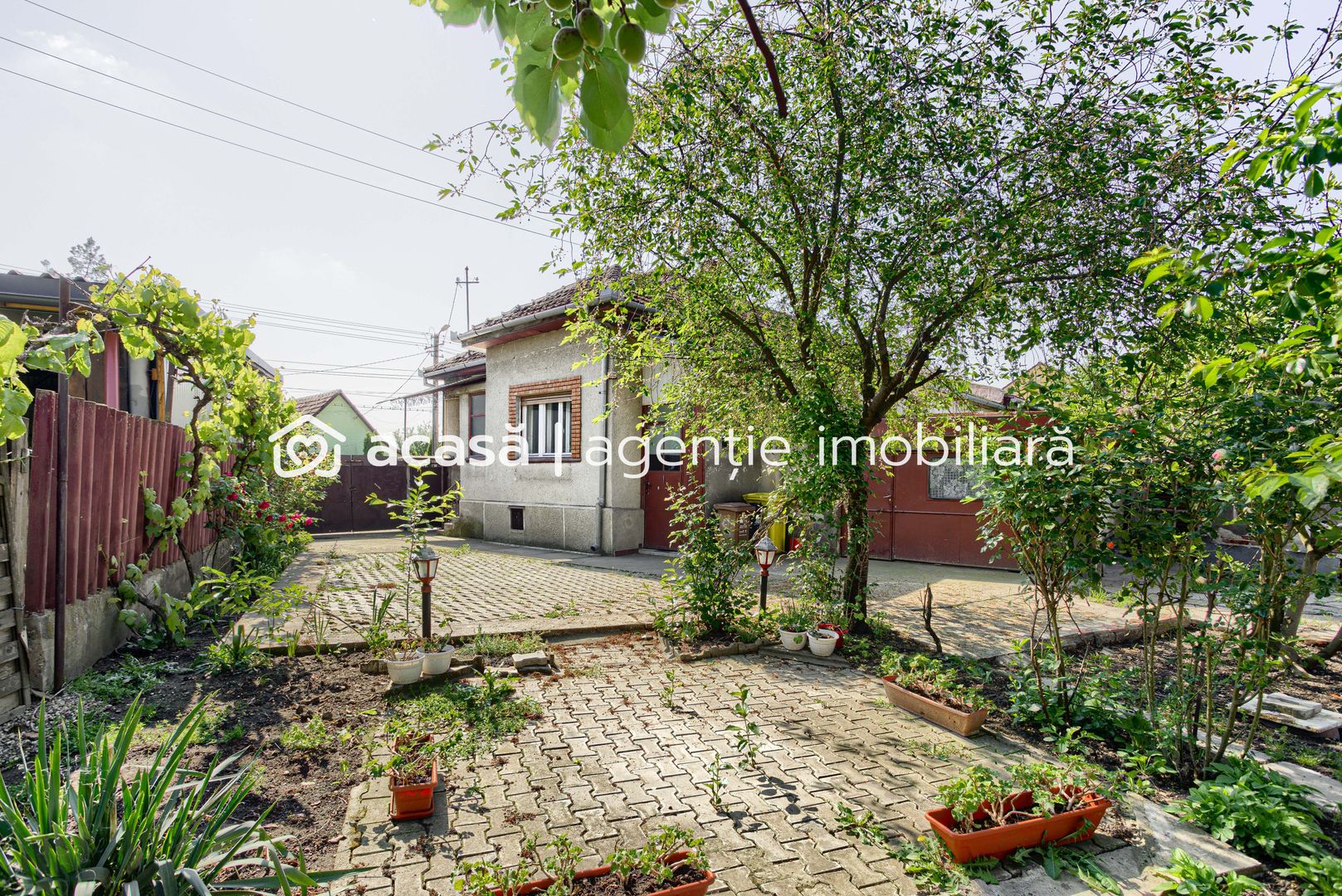 Casa in Gradiste - PROPRIETATE REZERVATA - Poză 8