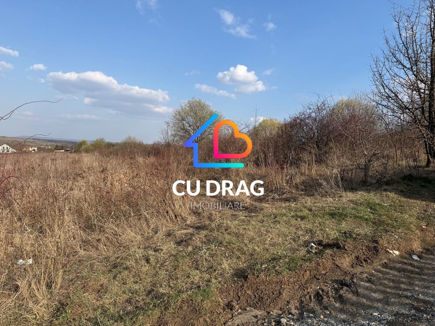 Teren intravilan cu toate utilitatile si drum amenajat Daia - Poză 2