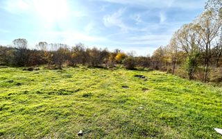 Teren Dem Radulescu 1092mp - Poză 3