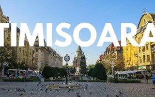 De vanzare Spatiul Comercial, casa, Hala Bld Eroilor Timisoara - Poză 20