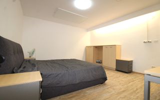 Casă individuală – pet friendly | Telegrafului – Modern,  Timișoara - Poză 7