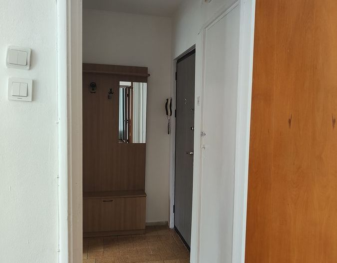 Vanzare apartament luminos de 2 camere in Titan-Lotru, pret negociabil - Poză 8