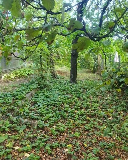 Teren cu potențial de dezvoltare în zonă centrală – Cluj-Napoca - Poză 1