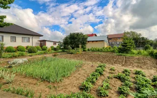 Casă boierească  de poveste- 7000 mp teren - Poză 77