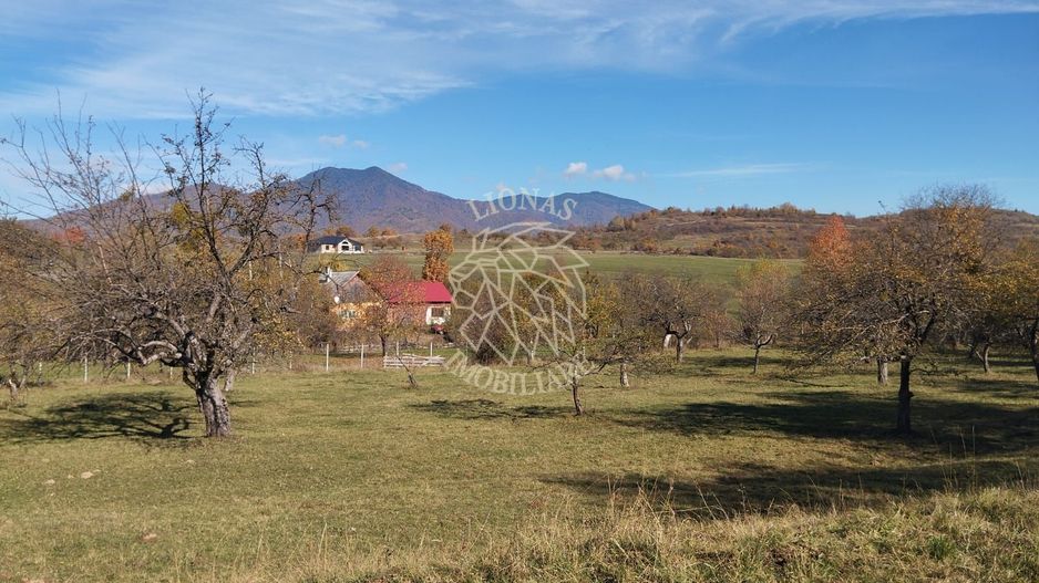 Teren intravilan 5324 mp la drum asfaltat-Parcelabil-Josenii Bargaului - Poză 1