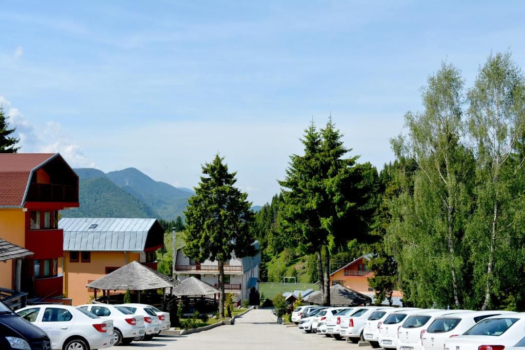 Domeniu turistic, zona pitoreasca, priveliste, aer curat, Fundata, Brasov - Poză 5