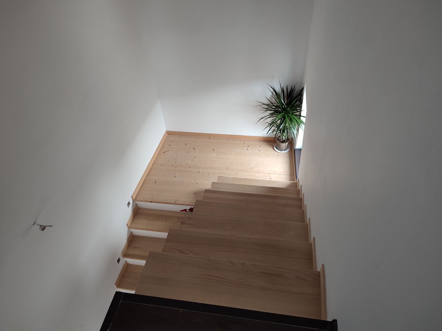 Sanandrei, Spurafete generoase, drum asflatat - Poză 12