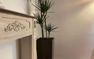 INCHIRIERE SPATIU IN VILA |  DOROBANTI | IDEAL STUDIO-CLINICA-BIROU - Poză 16