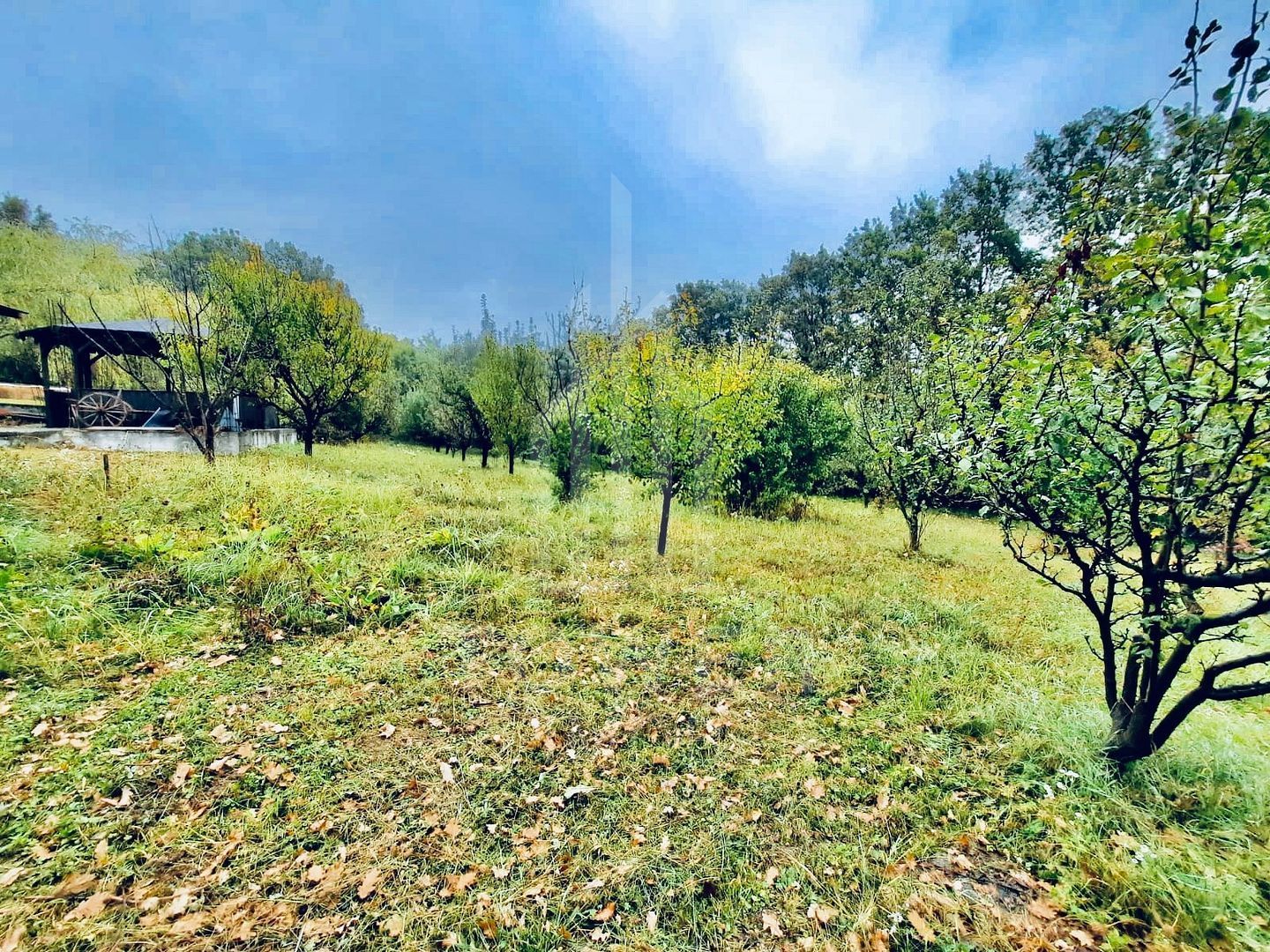 Casă de vacanță | Șura Mare - Poză 11