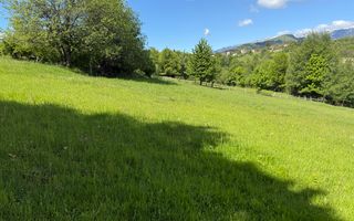 Teren Bran Sohodol 6700 mp - Poză 9