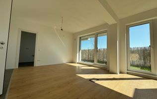 Studio 45mp SU + Gradina Proprie / Sectorul 1 Lacul Straulesti