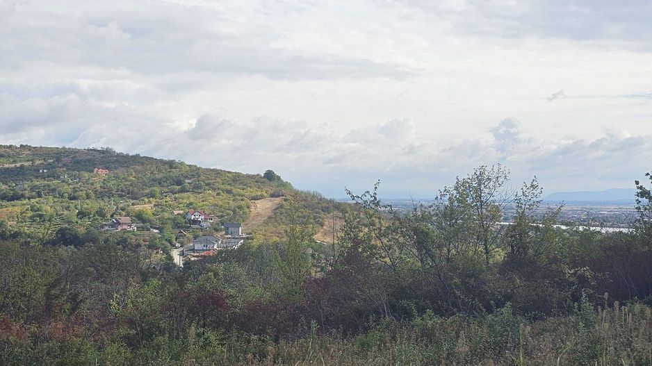 Teren intravilan Podgoria 7000mp - Poză 3