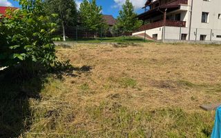 Teren intravilan de 700 mp în Valea Lupului, strada Petre Carp - Poză 3