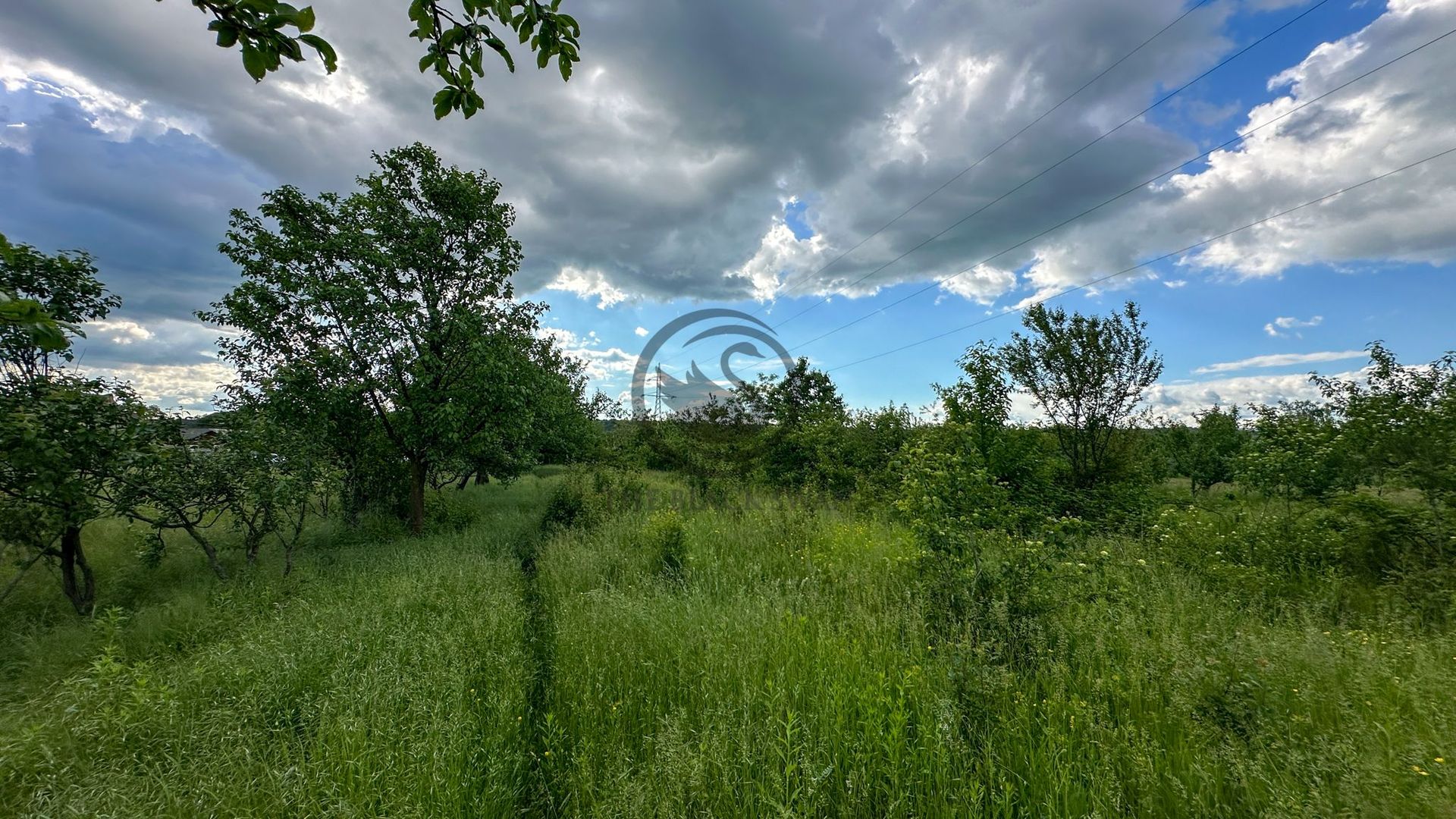 Teren de vanzare | 3.600mp | Valeni de Munte, Prahova | Comision 0% - Poză 5