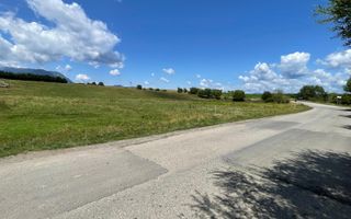 INVESTIȚIE | Teren 5000 mp PUZ APROBAT intravilan - zona Sohodol -Bran - Poză 4