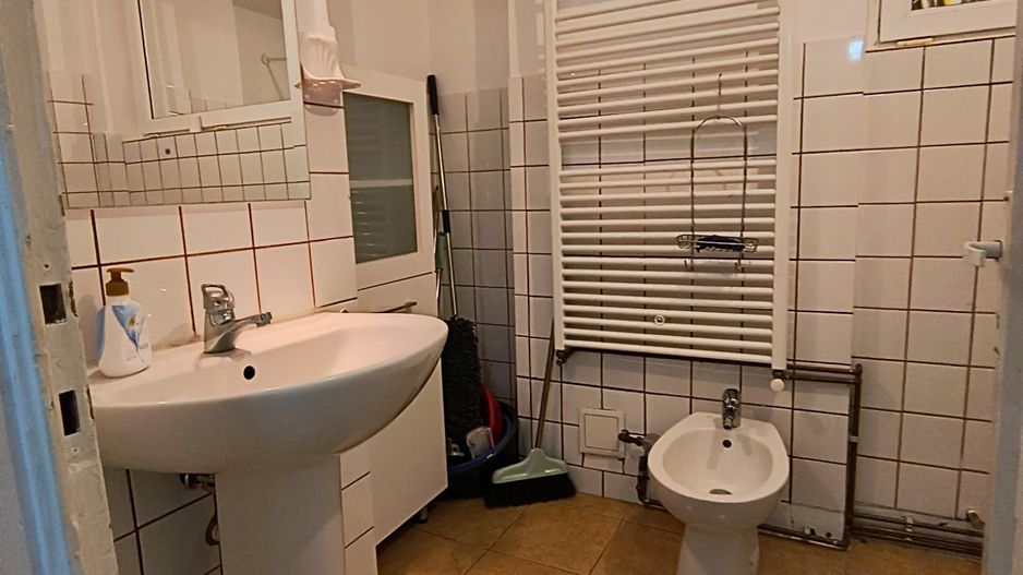 Sala Palatului- Cismigiu- Brezoianu - Poză 6