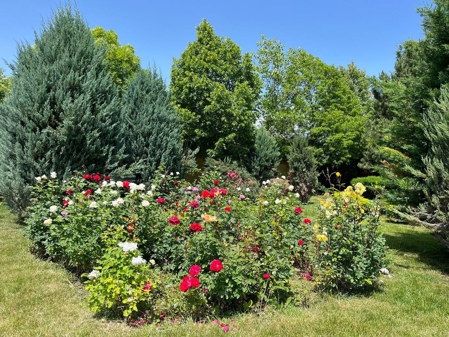 Vilă de lux mobilata/utilata cu terasa+foisor, garaj,gradina si livada - Poză 16