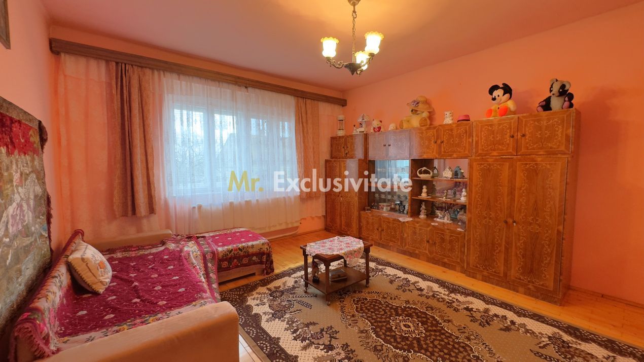 Casă 7 camere cu Teren 4.620 mp | Potențial pentru rezidență sau afacere | Carei - Poză 9