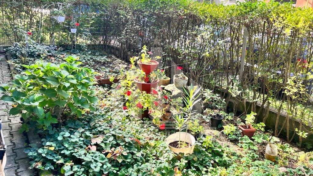 Apartament 2 camere Cetate cu gradina - Poză 7