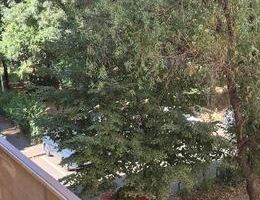 3 camere Lujerului, 2bai, bloc nou, centrala propie si loc de parcare - Poză 10