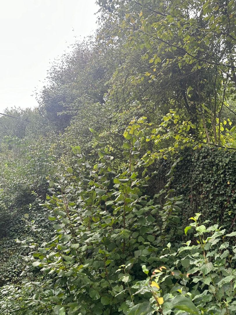 De vanzare teren 2100 mp Dej central - Poză 6