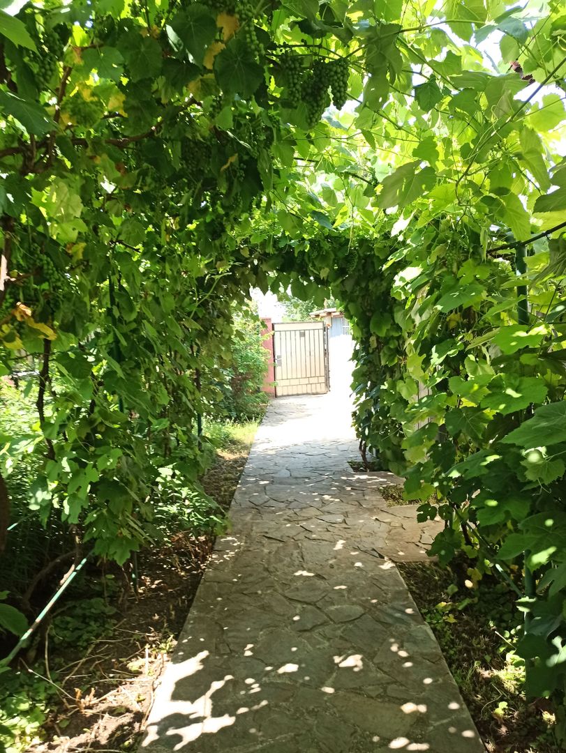 vila indiv+1198mp teren/pe DN4(sosBucuresti) in Frumusani/jud.Calarasi - Poză 93