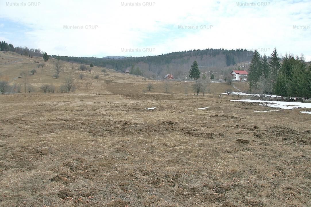 VALEA DOFTANEI - Traisteni, langa Conacul Dascalu, vanzare 2.537 mp. teren - Poză 15