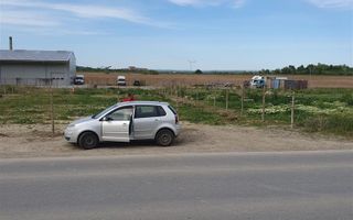 TEREN TOMESTI 1350 MP - 135,000 € - Poză 2