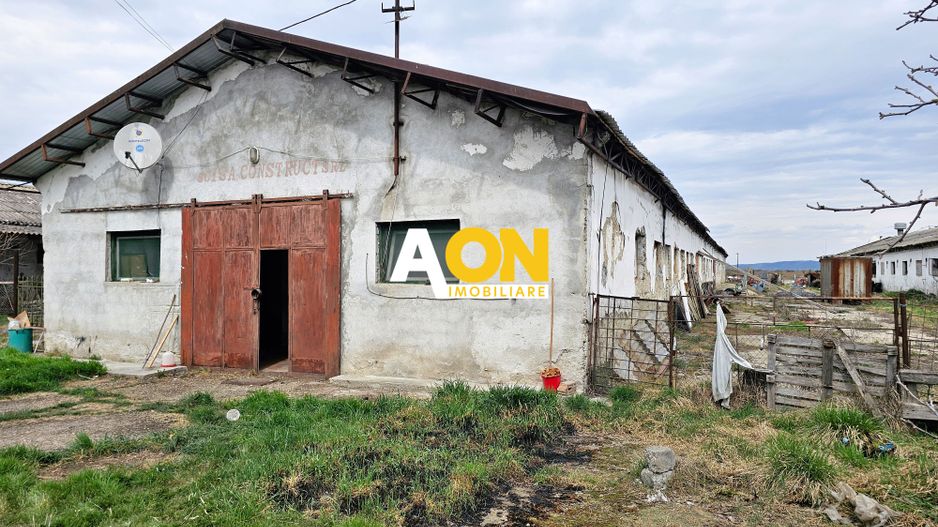 2 Hale pt.depozitare sau productie, 6100 teren, Lunca Muresului - Poză 2