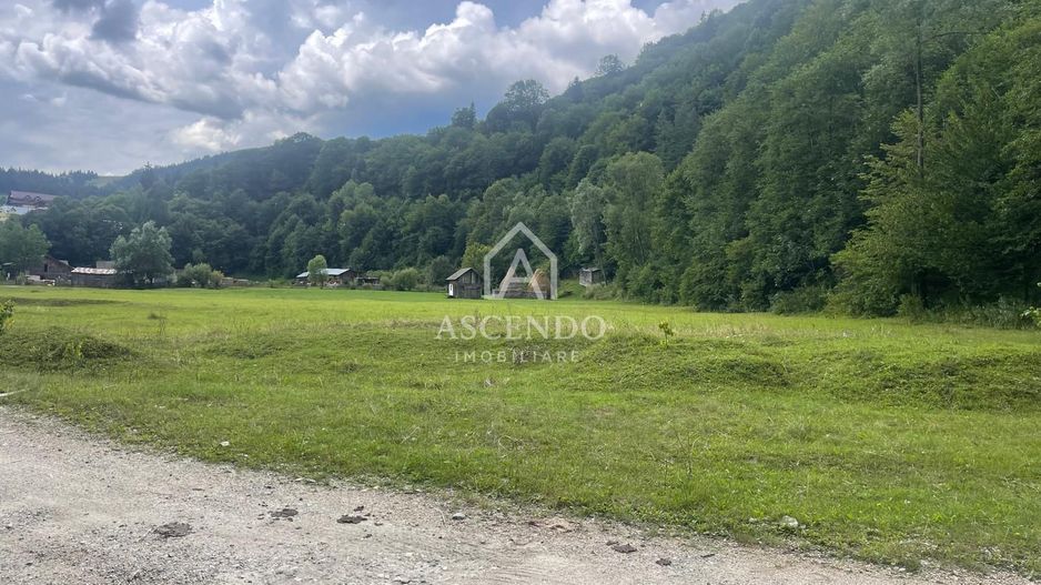 Teren pentru investiție turistică în Dâmbovicioara – Baranga | 4.500 mp | Front ~102 ml - Poză 3