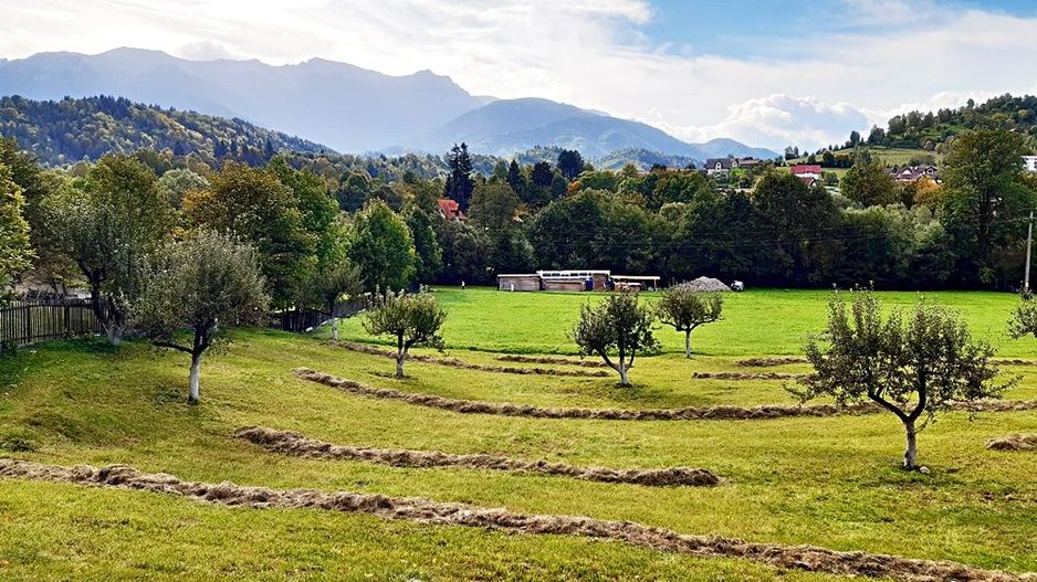 Teren superb de 16240mp, parcelabil, in Bran la intrare in Moeciu de Jos - Poză 1