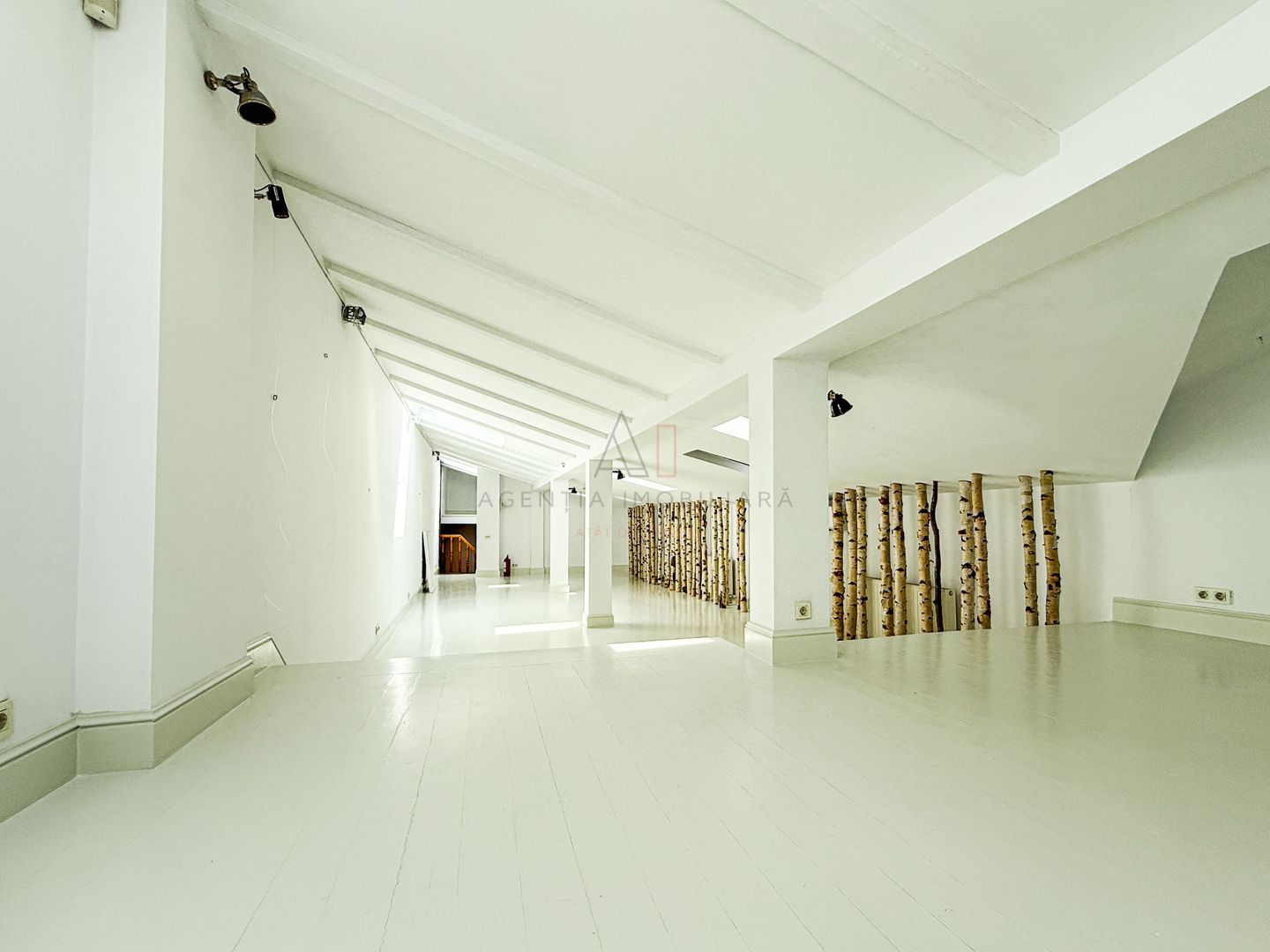 Vilă interbelică pentru birouri sau rezidență – Victoriei - Poză 7